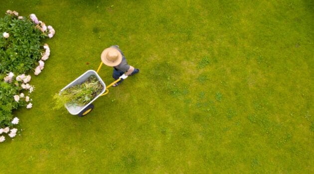 Il giardiniere sta trasportando una carriola piena di erba